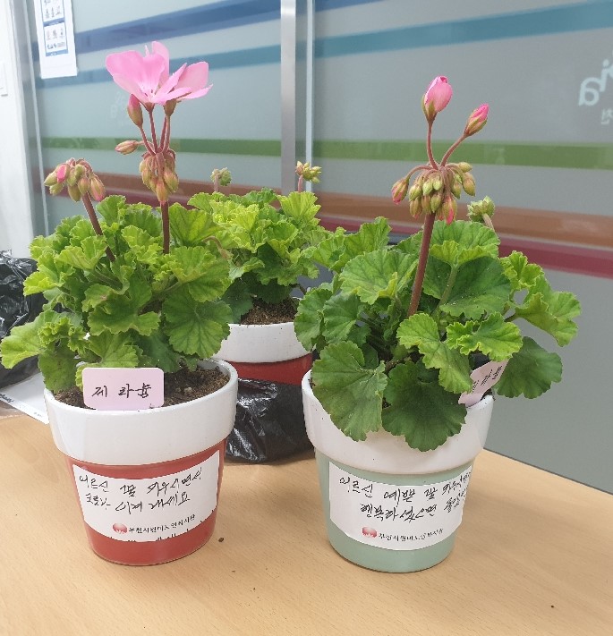 화분전달