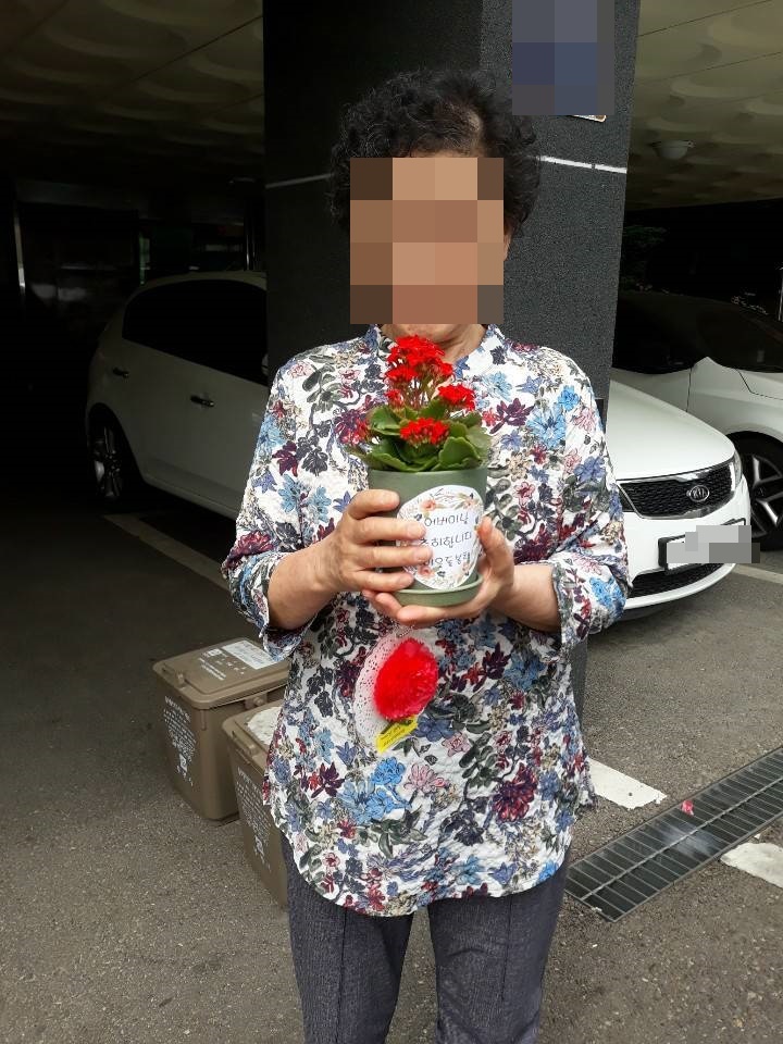 카네이션