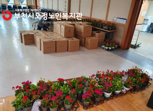노인맞춤돌봄서비스사업 꽃 화분 전달