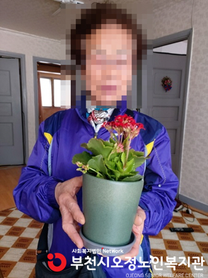 노인맞춤돌봄서비스사업 꽃 화분 전달