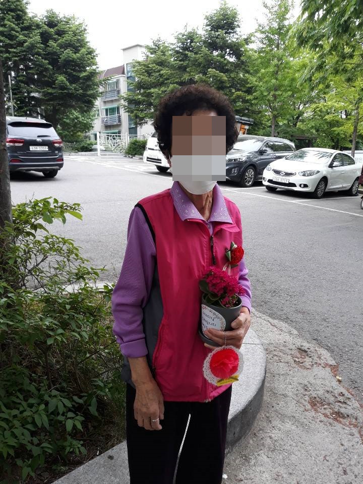 카네이션