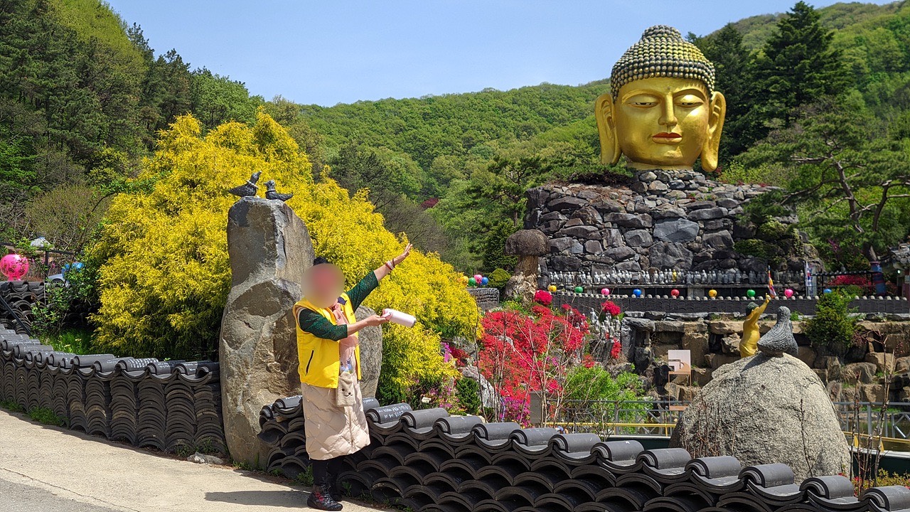 사진