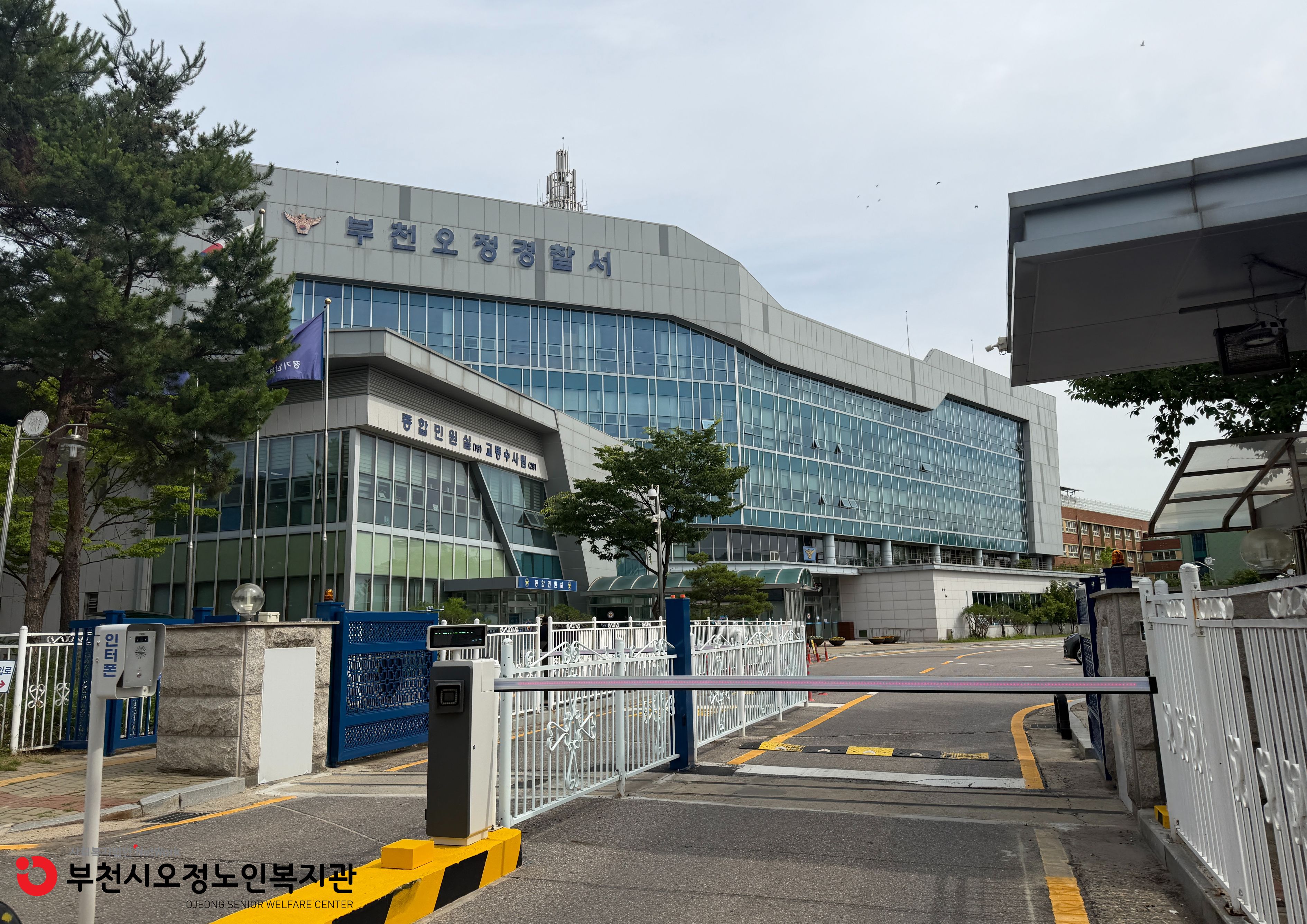 2026년 6월 노인일자리 및 사회활동지원사업 실버포돌이 활동점검 진행사진