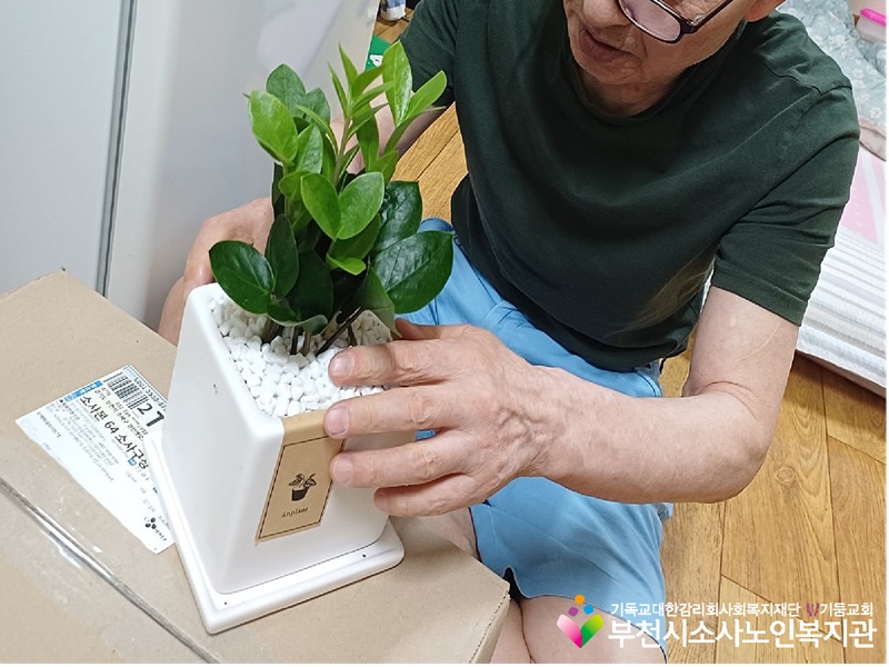 금전수