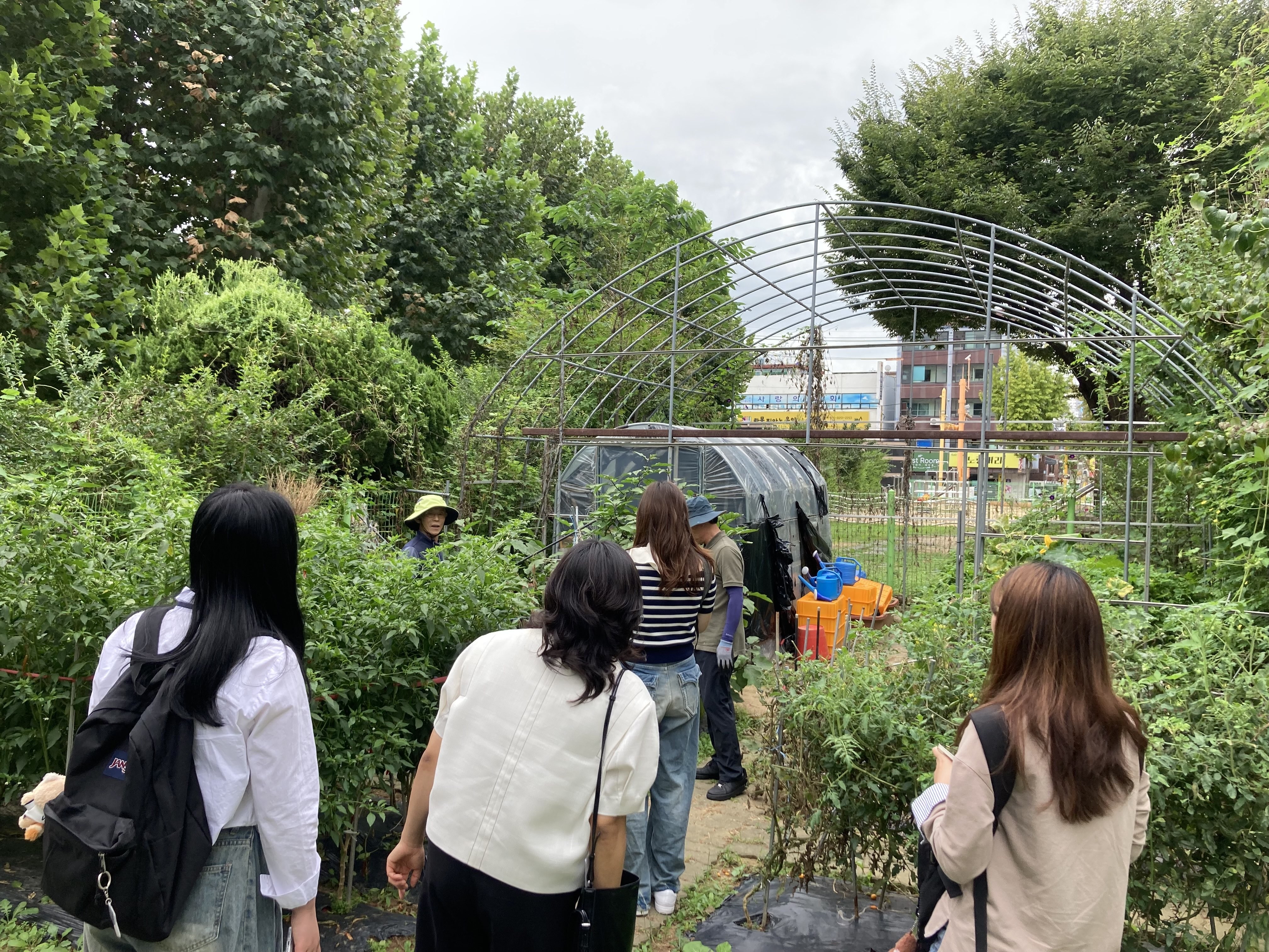 2025년도 화단및텃밭관리사업  사업 홍보 영상 촬영 진행 사진