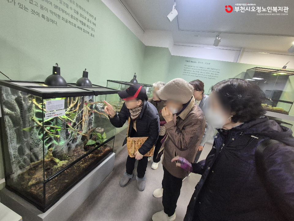 2025 노인맞춤돌봄 특화서비스 1집단 추후 자조모임 2회기 자연의 숨결 ‘생태공원 탐방’ 진행