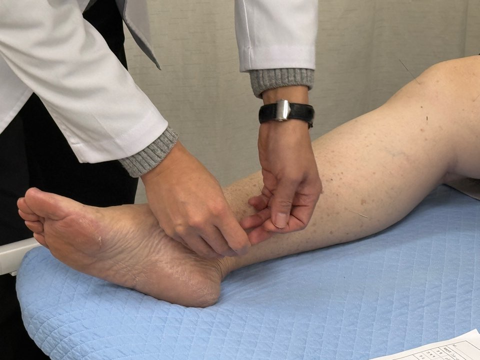 3월 정기 한방진료 진행